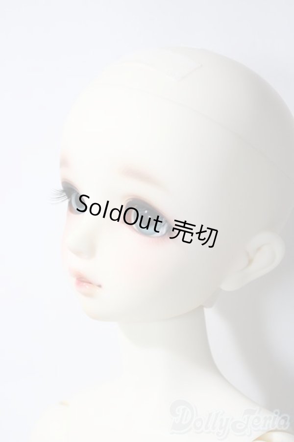 画像5: SD女の子/ワンオフF-95きのこ様 U-25-12-03-216-TN-ZU (5)