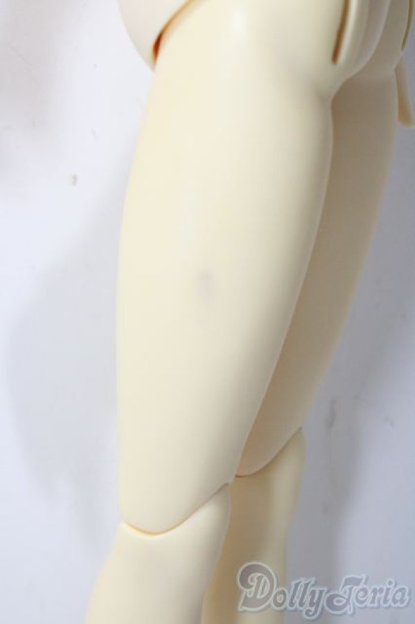 画像4: SD/女の子ボディ U-25-12-03-215-TN-ZU (4)