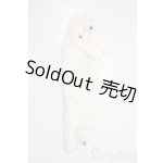 画像: SDM＆MSD/OF:小物 U-25-12-03-171-TN-ZU