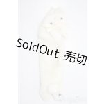 画像: SDM＆MSD/OF:小物 U-25-12-03-172-TN-ZU