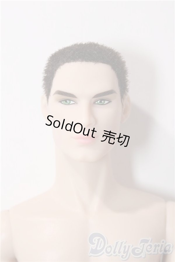 画像1: Fashion Royalty/本体のみ/その他/doll A-25-12-17-1087-TN-ZU (1)