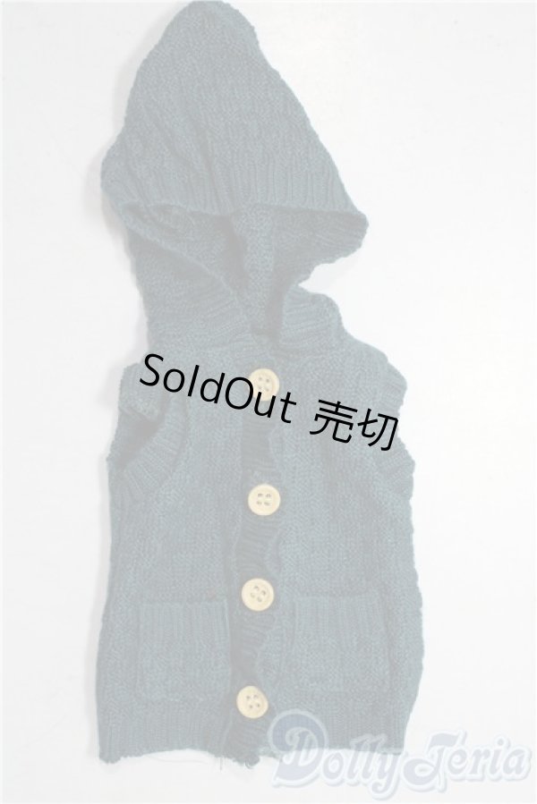 画像1: SDM＆MSD/OF:トップス U-25-12-10-069-TN-ZU (1)