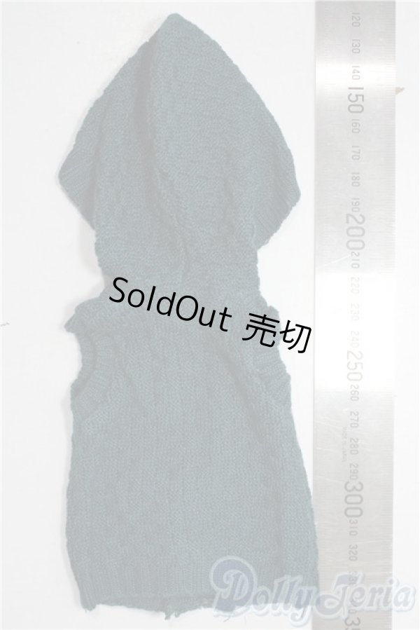 画像2: SDM＆MSD/OF:トップス U-25-12-10-069-TN-ZU (2)