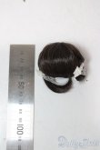 画像2: 4.5inch/ウィッグ A-25-12-24-1013-TN-ZU (2)