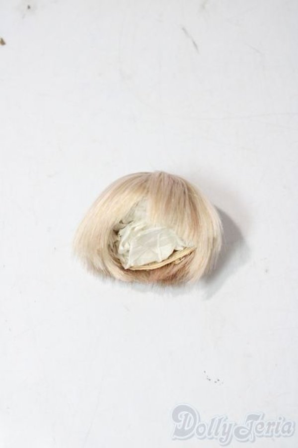 画像1: 4.5inch/ウィッグ A-25-12-24-1014-TN-ZU (1)