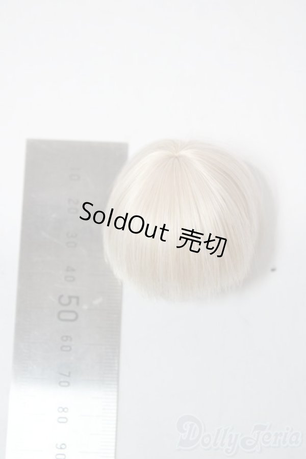 画像2: 4.5inch/ウィッグ A-25-12-24-1017-TN-ZU (2)