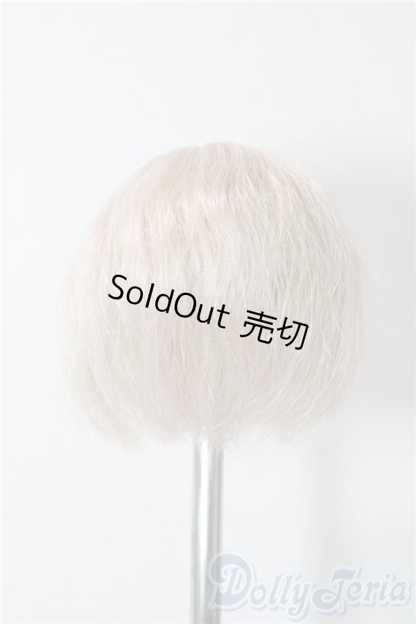 画像2: 4inch/ウィッグ A-25-12-17-1059-TN-ZU (2)