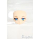 画像: オビツ11/DC11-09 カスタムヘッド Y-25-12-24-240-TN-ZY