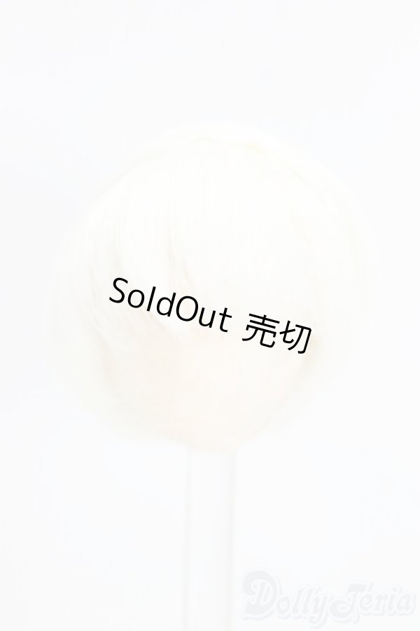 画像1: 3.5inch-4inch/ウィッグ/インチ　BJD　MJD　ドール用 I-25-12-21-053-TN-ZI (1)