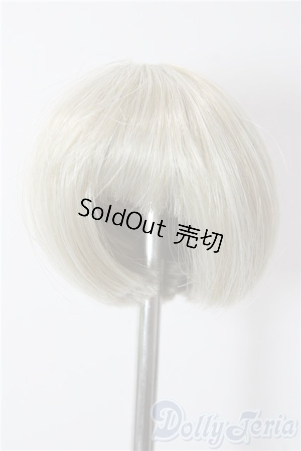 画像1: 3.5inch-4inch/ウィッグ A-25-12-17-1055-TN-ZU (1)
