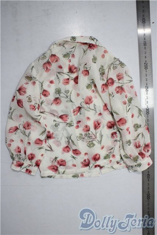 画像2: SD17B/OF:トップス U-25-12-10-075-TN-ZU (2)