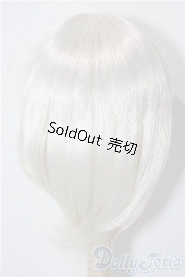 画像2: 9-10inch/ウィッグ U-25-12-10-165-TN-ZU (2)