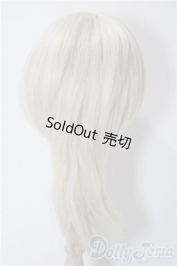 画像2: 8-9inch/ウィッグ U-25-12-24-003-TN-ZU (2)