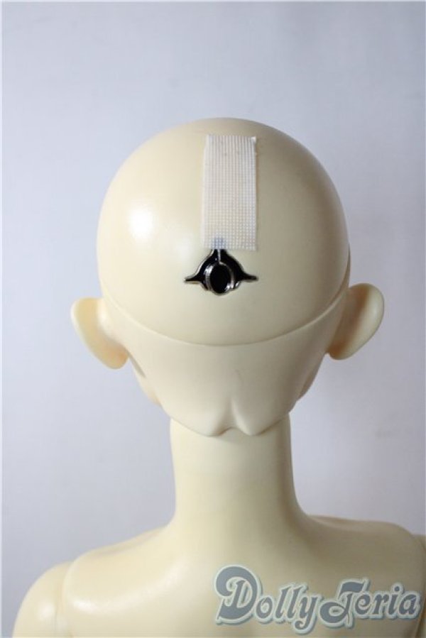 画像6: LATI　DOLL/RED LINE：K A-25-12-17-1100-TN-ZU (6)