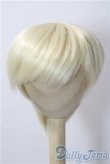 画像1: 8-9inch/ウィッグ U-25-12-17-064-TN-ZU (1)