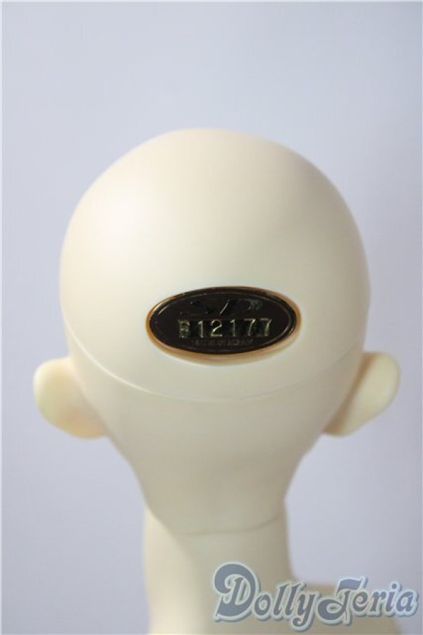 画像5: SDGｒBOY/フルチョイス：SD-F-49 U-25-12-17-218-TN-ZU (5)