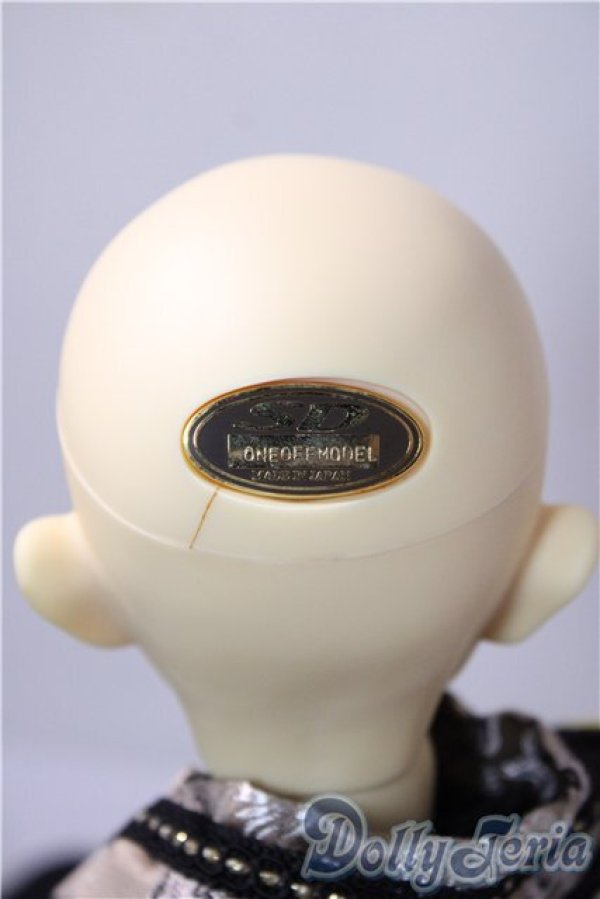 画像5: SD13BOY/ワンオフF-49aone様 U-25-12-17-219-TN-ZU (5)