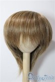 画像1: 9-10inch/ウィッグ U-25-12-24-018-TN-ZU (1)