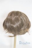 画像2: 8-9inch/ウィッグ U-25-12-24-268-TN-ZU (2)