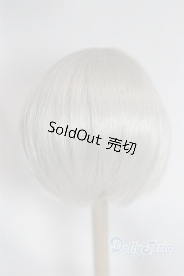 画像2: 8-9inch/ウィッグ U-25-12-24-272-TN-ZU (2)