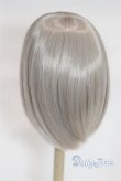 画像2: 8-9inch/ウィッグ U-25-12-24-253-TN-ZU (2)