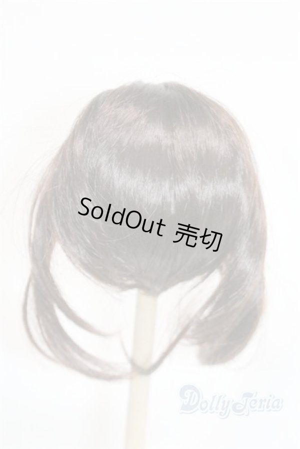 画像2: 8-9inch/ウィッグ U-25-12-24-256-TN-ZU (2)