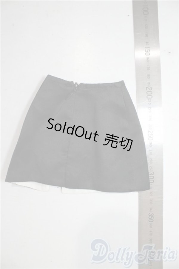 画像2: SD/OF:スカート U-25-12-24-029-TN-ZU (2)