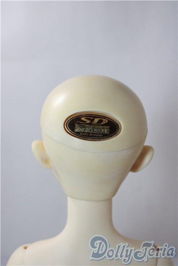 画像6: SD女の子/ワンオフリズCiera様 U-25-12-24-212-TN-ZU (6)