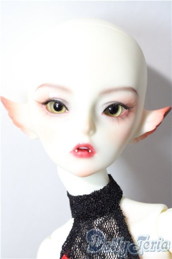 画像2: DREAM　VALLEY/Aurora＆Dawn Two-in-One Special Ver. Fullset A-26-01-04-1098-TN-ZU (2)