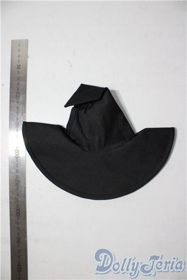 画像2: SD/OF:ウィザーハット U-25-12-24-068-TN-ZU (2)