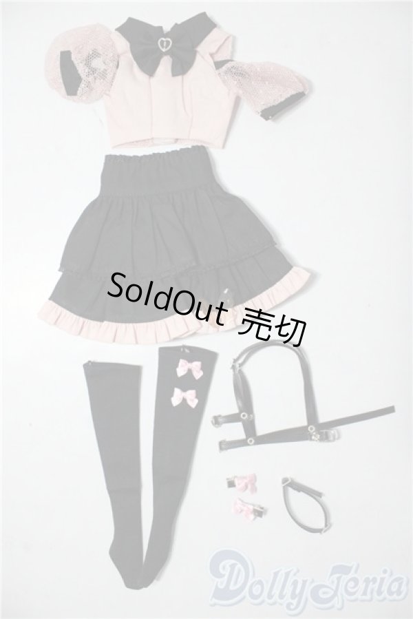 画像1: SDM＆MSD/OF:衣装セット U-25-12-24-101-TN-ZU (1)