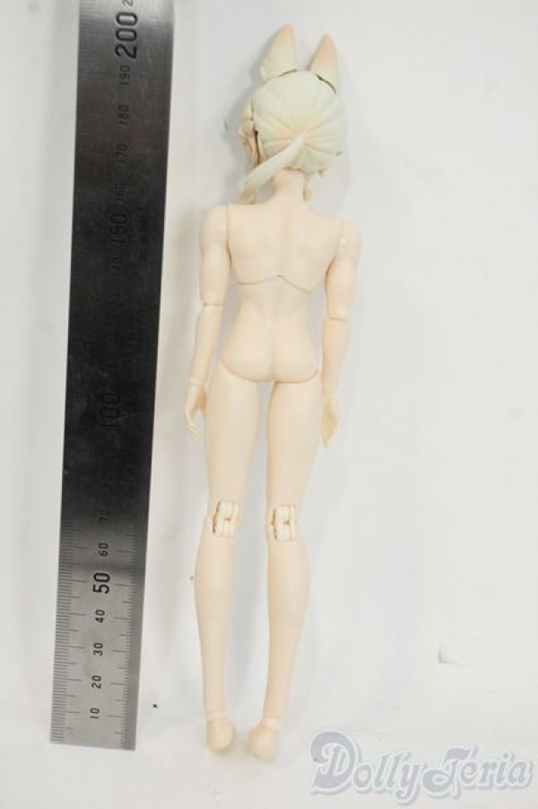 画像3: シチリアの追憶/ ロレンツォ Y-25-12-24-261-TN-ZY (3)