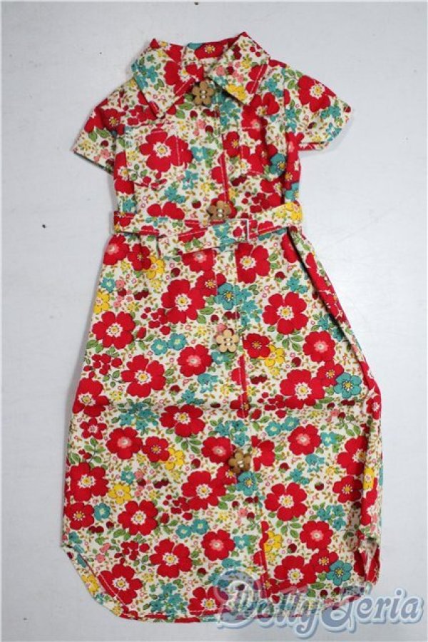 画像1: SDM＆MSD/OF:ワンピース U-25-12-24-118-TN-ZU (1)