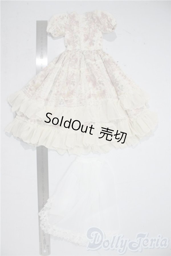 画像2: SDM＆MSD/OF:ワンピース U-25-12-24-112-TN-ZU (2)