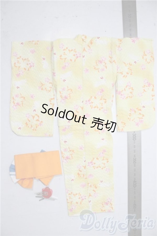 画像2: SDM＆MSD/OF:衣装セット U-25-12-24-131-TN-ZU (2)