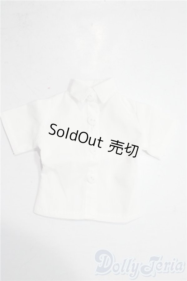 画像1: SDM&MSD/OF:トップス U-25-12-24-133-TN-ZU (1)