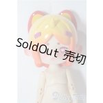 画像: ANTU/自然の秘境　家の猫 A-26-01-04-1064-TN-ZU