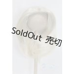 画像: 9-10inch/ウィッグ U-26-01-04-249-TN-ZU