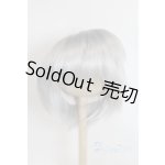 画像: 9-10inch/ウィッグ U-26-01-04-265-TN-ZU