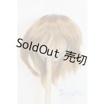 画像: 9-10inch/ウィッグ U-26-01-04-270-TN-ZU