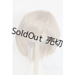 画像: 9-10inch/ウィッグ U-26-01-04-271-TN-ZU