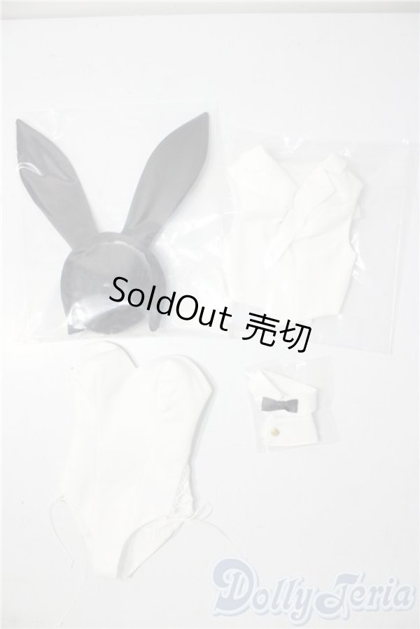 画像1: DD/OF:バニースーツセット A-26-01-07-1045-TN-ZU (1)