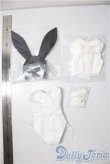 画像2: DD/OF:バニースーツセット A-26-01-07-1045-TN-ZU (2)