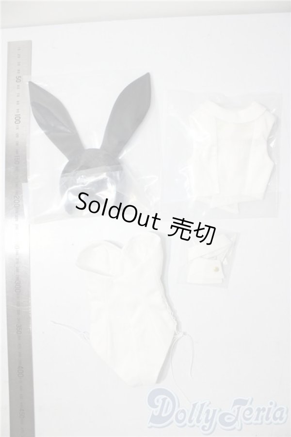 画像2: DD/OF:バニースーツセット A-26-01-07-1045-TN-ZU (2)