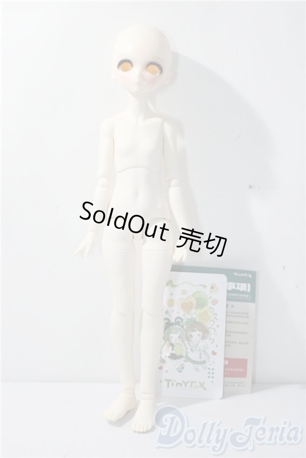 画像6: tinyfox/ニシキゴイの精霊 鯉春 A-26-01-07-1093-TN-ZU (6)