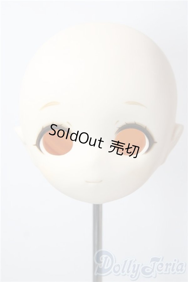 画像1: PARABOX/PB-4006ヘッド A-26-01-14-1081-TN-ZU (1)