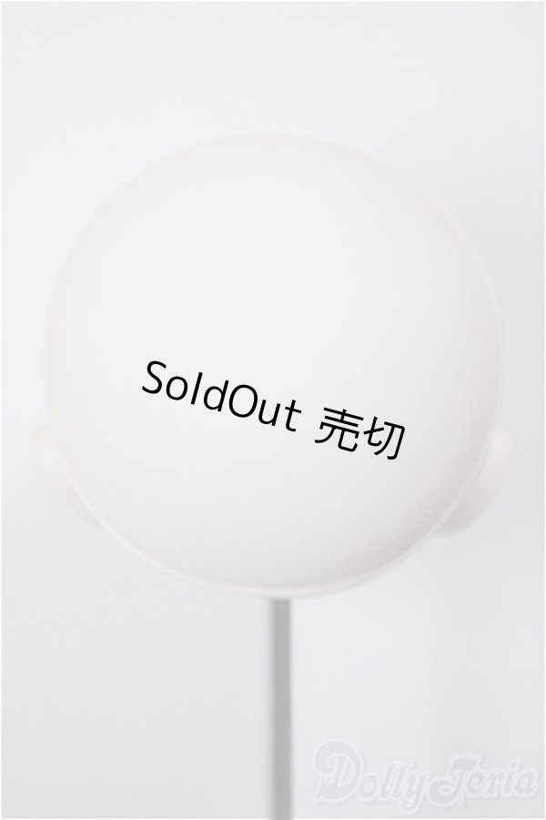 画像4: PARABOX/PB-4006ヘッド/ A-26-02-04-314-TN-ZA (4)