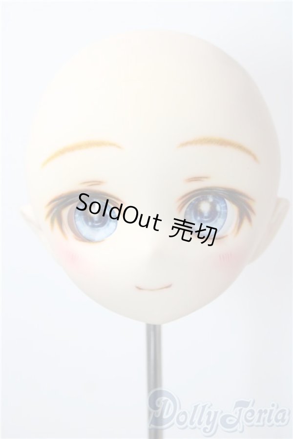 画像1: パラボックス/PB-4007ヘッド A-26-01-14-1083-TN-ZU (1)