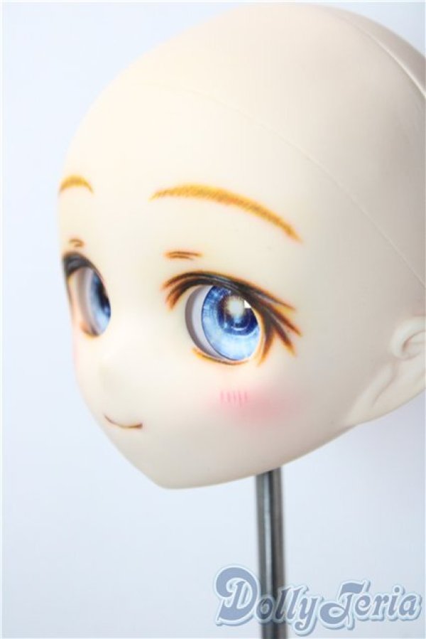 画像3: パラボックス/PB-4007ヘッド A-26-01-14-1083-TN-ZU (3)