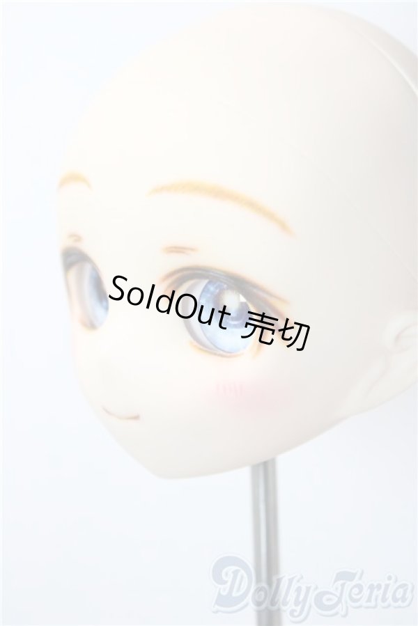 画像3: パラボックス/PB-4007ヘッド A-26-01-14-1083-TN-ZU (3)